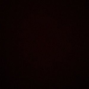 Meet your Posher, Ella